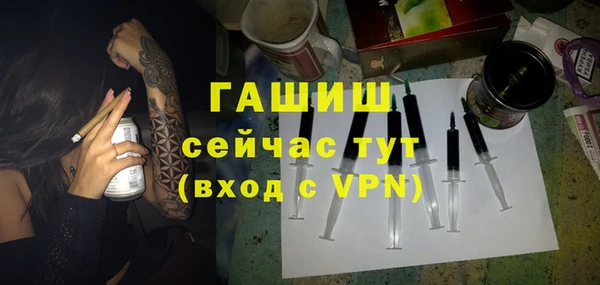 стафф Новосибирск