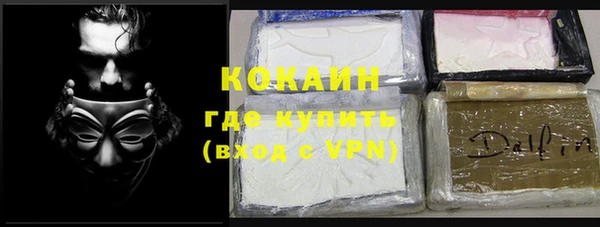 индика Переславль-Залесский