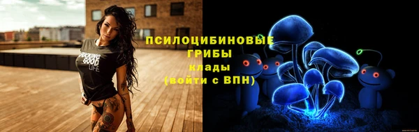 индика Переславль-Залесский