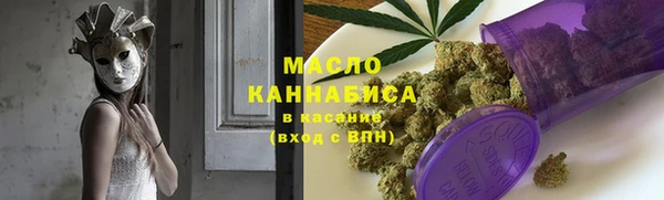 индика Переславль-Залесский