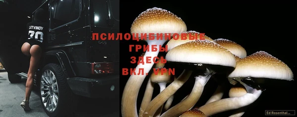 кокаин Ессентукская