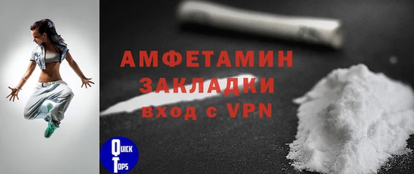 индика Переславль-Залесский
