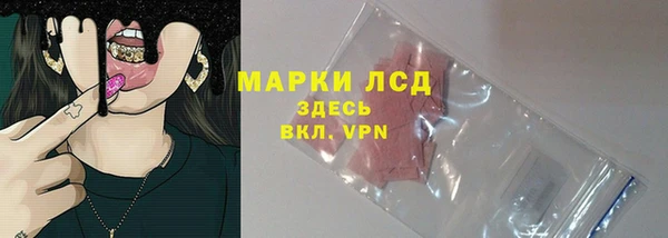 индика Переславль-Залесский