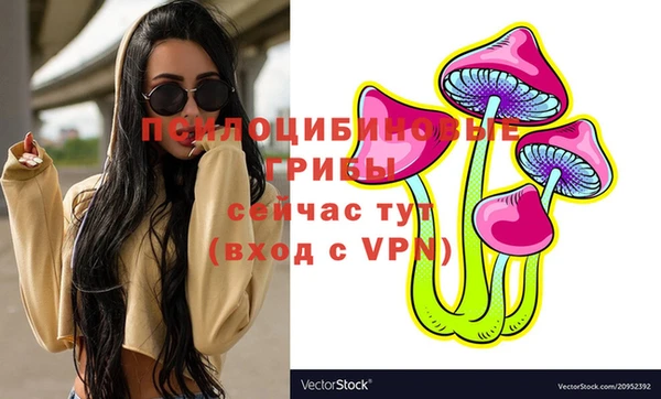 метадон Пересвет