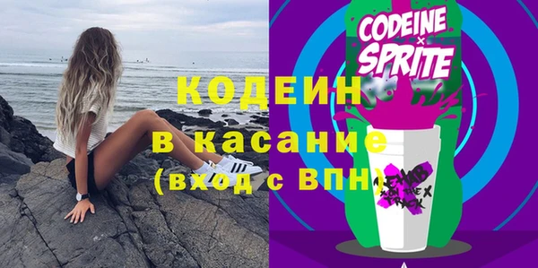 индика Переславль-Залесский