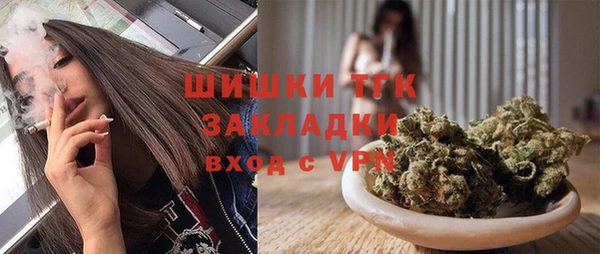 индика Переславль-Залесский