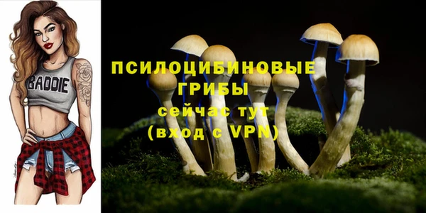 метадон Пересвет