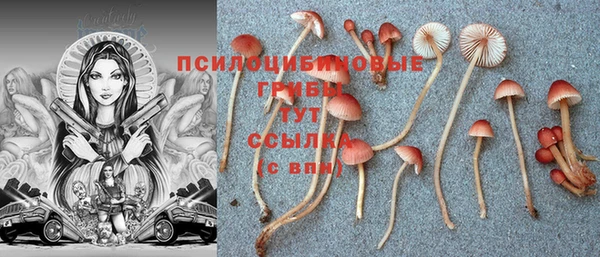 метадон Пересвет