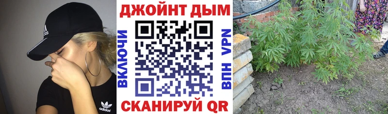 купить  сайты  Бежецк  Каннабис конопля 